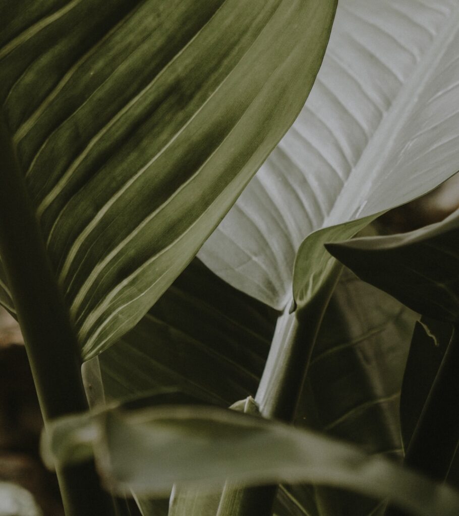 massage tantrique couple